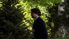 Trudeau urges provinces to seek federal help with testing, contact tracing